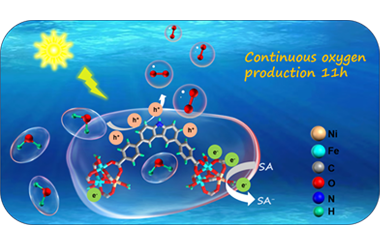 Strategic metal substitution for enhanced visible-light-driven oxygen evolution in heterometallic MOFs 2025.100621